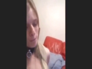 Dalmatian with a hard dick jerked off by a slave