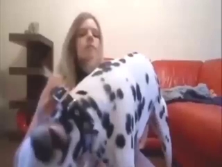 Dalmatian with a hard dick jerked off by a slave