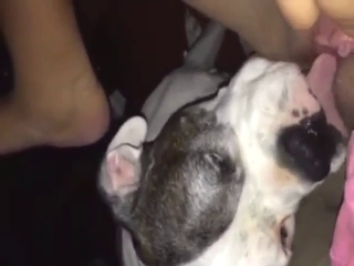 That dog is true DUDE, it loves licking wet cunt