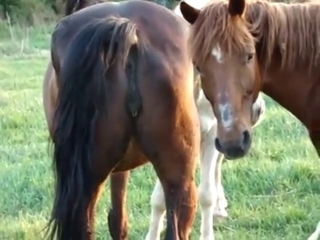 Mare shows off her vag and winks it at the cam