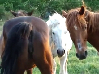 Mare shows off her vag and winks it at the cam