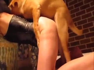 Dog-loving bitch gets fucked from behind, harder