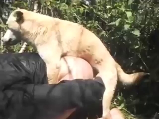 Strong and sexy animal pounding that hole