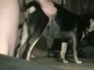All sorts of anal fucking for a lovely puppy